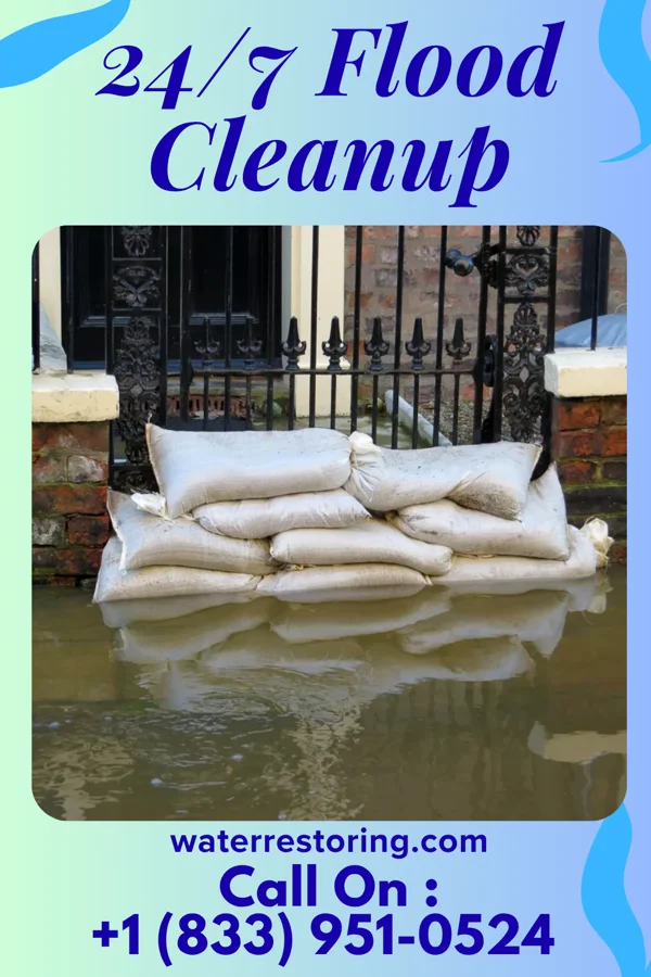 24/7 Flood Cleanup in Williamson, GA