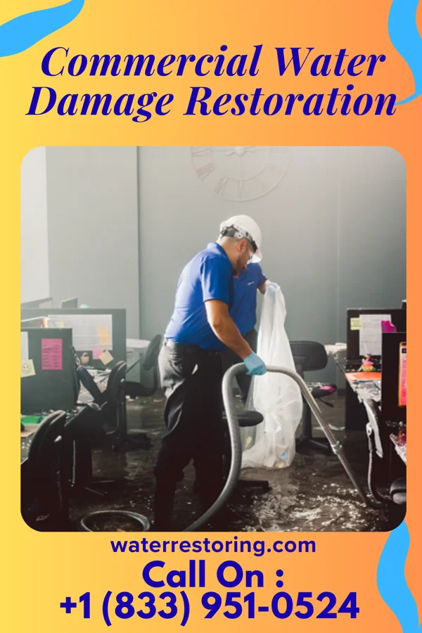 Commercial Water Damage Restoration in Williamson, GA