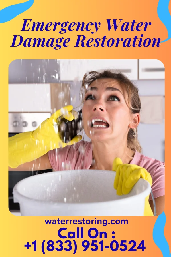 Emergency Water Damage Restoration in Williamson, GA